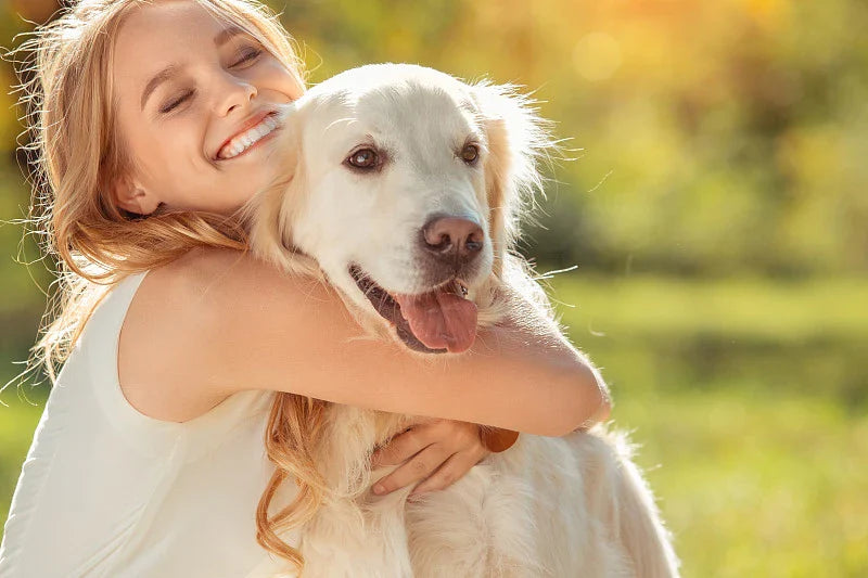 Joint Care for Ageing Dogs: Spotting the Early Signs