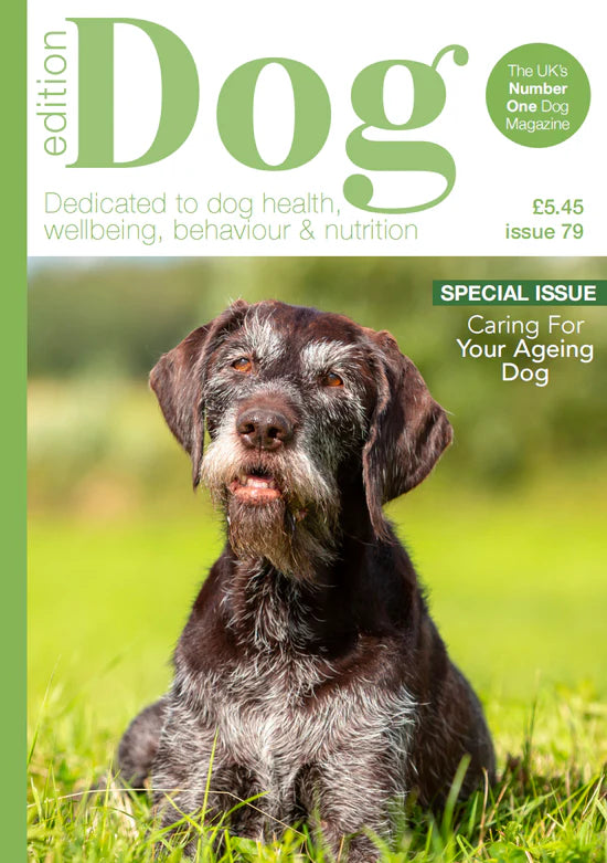 Edition Dog Magazine cover